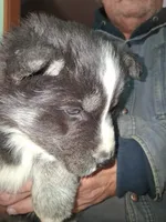 processed/e71c543e-9d62-45b6-8460-462b143e3c7d/listing/e16eceb1-524c-46a6-82d8-4d211ec9f94a/c4af3d9c-b231-4e07-997b-926a1b8eda8c