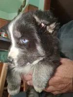 processed/e71c543e-9d62-45b6-8460-462b143e3c7d/listing/e16eceb1-524c-46a6-82d8-4d211ec9f94a/f8657f81-82e1-43a4-95ea-fca142fddbcf