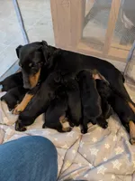 processed/e7290e90-b679-4186-9c3a-16eaf0575438/facility/c523a054-8d7b-4f92-a74b-efc6ed056227