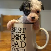 processed/e7323725-c39d-40ce-bd06-e74b2232e259/facility/0dc0116b-99e2-433c-9cd0-1202759789ce