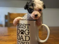 processed/e7323725-c39d-40ce-bd06-e74b2232e259/facility/0dc0116b-99e2-433c-9cd0-1202759789ce