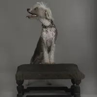 processed/e7323725-c39d-40ce-bd06-e74b2232e259/facility/595bb7b2-e800-438b-91d5-dbcda2010863