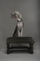 processed/e7323725-c39d-40ce-bd06-e74b2232e259/facility/595bb7b2-e800-438b-91d5-dbcda2010863