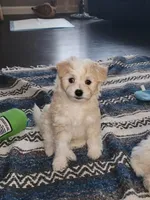 processed/e7323725-c39d-40ce-bd06-e74b2232e259/facility/5acdd712-84de-4abf-aa68-a08fa101a384