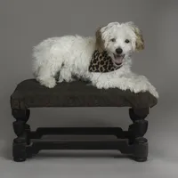 processed/e7323725-c39d-40ce-bd06-e74b2232e259/facility/86641946-0a6c-4cd7-9176-a3eb93a99f98