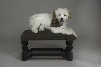 processed/e7323725-c39d-40ce-bd06-e74b2232e259/facility/86641946-0a6c-4cd7-9176-a3eb93a99f98