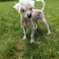 processed/e7323725-c39d-40ce-bd06-e74b2232e259/facility/a03c2444-5911-4330-826a-18ecc451a533