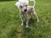 processed/e7323725-c39d-40ce-bd06-e74b2232e259/facility/a03c2444-5911-4330-826a-18ecc451a533