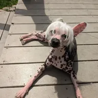 processed/e7323725-c39d-40ce-bd06-e74b2232e259/facility/a17b2ed4-2d4c-4ac5-a711-5b043a950c25