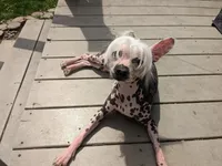 processed/e7323725-c39d-40ce-bd06-e74b2232e259/facility/a17b2ed4-2d4c-4ac5-a711-5b043a950c25