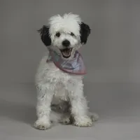 processed/e7323725-c39d-40ce-bd06-e74b2232e259/facility/cdcb82d4-5d85-4a63-afce-dacbcfafcf62