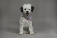 processed/e7323725-c39d-40ce-bd06-e74b2232e259/facility/cdcb82d4-5d85-4a63-afce-dacbcfafcf62