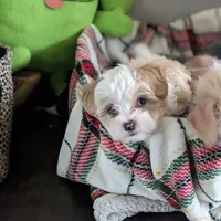 processed/e7323725-c39d-40ce-bd06-e74b2232e259/facility/e4144eb1-bf1c-48c6-9394-dc5059616a07