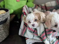 processed/e7323725-c39d-40ce-bd06-e74b2232e259/facility/e4144eb1-bf1c-48c6-9394-dc5059616a07