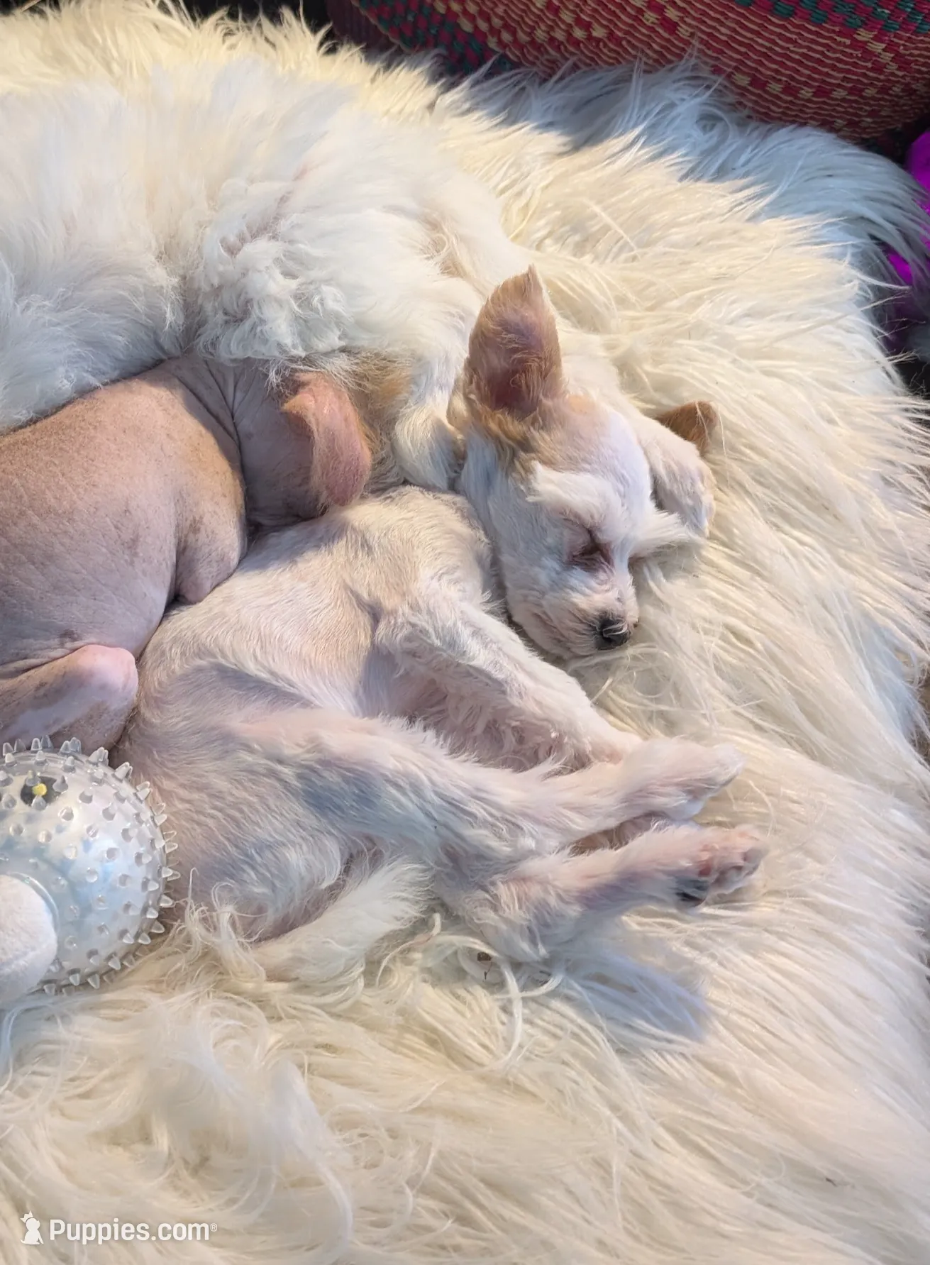 processed/e7323725-c39d-40ce-bd06-e74b2232e259/listing/15577b9f-a413-4df0-a8ae-a5b6e2604df0/19d9dea3-3c40-400c-833a-f84f385ab7de