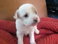 processed/e7323725-c39d-40ce-bd06-e74b2232e259/listing/2bb7204e-7a95-4f26-afc9-333df6486df7/b08300be-bd5e-40af-ae60-bda2bc423725