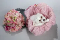 processed/e7323725-c39d-40ce-bd06-e74b2232e259/listing/2bb7204e-7a95-4f26-afc9-333df6486df7/b3d874e4-4b94-4f60-8504-cf00bc586ef3