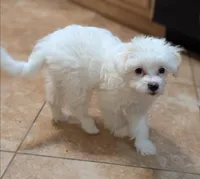 processed/e7323725-c39d-40ce-bd06-e74b2232e259/listing/a54aa57a-bd73-426d-8e43-13c1b16220c4/14d1ac2c-24b5-42ee-b9f5-36aae97455c9