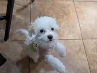 processed/e7323725-c39d-40ce-bd06-e74b2232e259/listing/a54aa57a-bd73-426d-8e43-13c1b16220c4/190b5087-f1f4-4a50-95c5-30cf5c16da5a