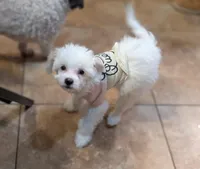 processed/e7323725-c39d-40ce-bd06-e74b2232e259/listing/a54aa57a-bd73-426d-8e43-13c1b16220c4/a0de8ed7-bb1d-4454-91b7-55e19ac49023