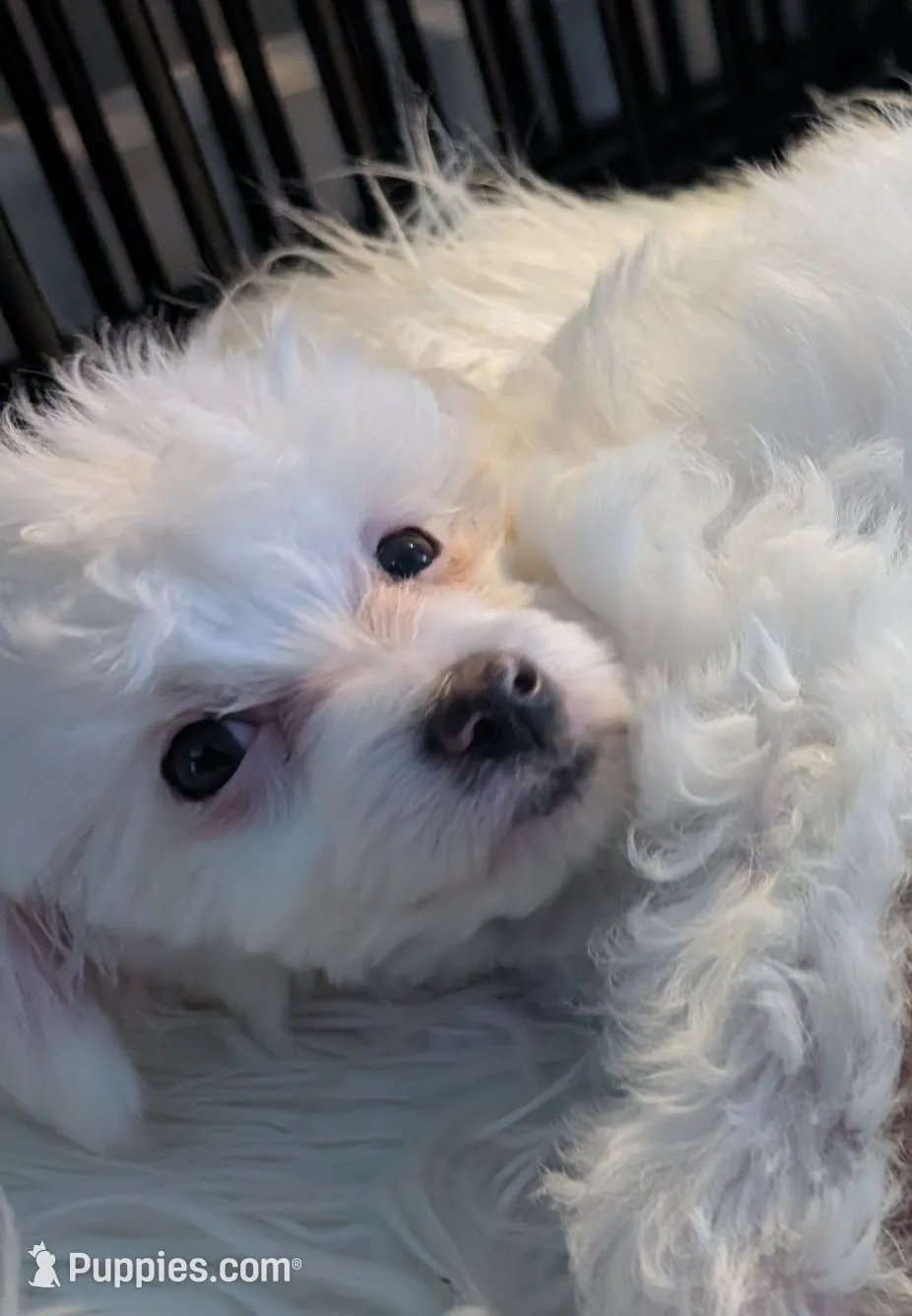 processed/e7323725-c39d-40ce-bd06-e74b2232e259/listing/a54aa57a-bd73-426d-8e43-13c1b16220c4/b237e3cd-e94a-460d-9c52-bafef682e96c