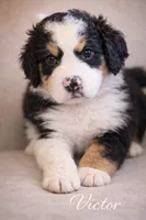 processed/e738a2ef-aa40-4019-98d3-f59f180200a3/listing/1964200e-c2fd-4204-ab32-549cab49c171/7e27baa3-5111-4f06-8718-090d075a73ef