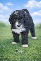 processed/e738a2ef-aa40-4019-98d3-f59f180200a3/listing/2dc9b9e9-c484-46ef-812d-abaf4a9cc7ab/311b4da7-b2cc-4074-a136-ea7e0afdffb6