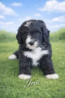 processed/e738a2ef-aa40-4019-98d3-f59f180200a3/listing/2dc9b9e9-c484-46ef-812d-abaf4a9cc7ab/d15aa9aa-9d0d-4004-83f6-2dc55b8dd265