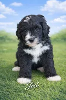 processed/e738a2ef-aa40-4019-98d3-f59f180200a3/listing/2dc9b9e9-c484-46ef-812d-abaf4a9cc7ab/dff1792c-286f-4e52-9b73-72aa88fd718a