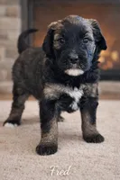 processed/e738a2ef-aa40-4019-98d3-f59f180200a3/listing/488e769e-9ec1-4e89-bbf6-7476bedc845b/3883b0a1-f508-42b9-a797-4f5eaef8c3fc