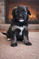 processed/e738a2ef-aa40-4019-98d3-f59f180200a3/listing/488e769e-9ec1-4e89-bbf6-7476bedc845b/ae562509-7d6c-4306-8b4c-15d25e638175