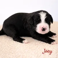 processed/e738a2ef-aa40-4019-98d3-f59f180200a3/listing/6d9af798-b3eb-4ee2-81b0-37a0426a68f8/12692a3f-8764-43f9-aee9-d88045fe097c