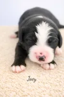 processed/e738a2ef-aa40-4019-98d3-f59f180200a3/listing/6d9af798-b3eb-4ee2-81b0-37a0426a68f8/1ae2f57c-ca72-4f07-90bd-89b47b79f00c