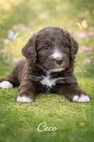 processed/e738a2ef-aa40-4019-98d3-f59f180200a3/listing/a39291e9-7423-4027-8096-ee4dbd93dc02/aeda2a01-3971-45e7-a14e-1e778349de41