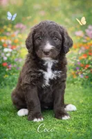 processed/e738a2ef-aa40-4019-98d3-f59f180200a3/listing/a39291e9-7423-4027-8096-ee4dbd93dc02/c3f78b48-1ab6-4a8d-b335-523532319818