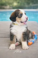 processed/e738a2ef-aa40-4019-98d3-f59f180200a3/listing/d091e465-9175-485b-8e9d-4b193200eb7a/878822ab-9b0b-4eec-bcd4-467e3675068a