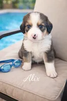 processed/e738a2ef-aa40-4019-98d3-f59f180200a3/listing/d091e465-9175-485b-8e9d-4b193200eb7a/c81b416e-88b1-4d4d-bccf-7d971c62777a