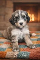 processed/e738a2ef-aa40-4019-98d3-f59f180200a3/listing/ed9f83f5-eb74-4f1e-8409-03657633abc8/dcbaaea9-c63c-4b58-88d8-2643f55e0aa0