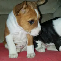 processed/e74149b3-91cc-4102-b107-86024ddc16ad/facility/2bcc0b6b-57a7-43a9-a08c-b4ec84b4a323