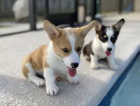 processed/e7438bac-d505-403d-88b9-1d23feb42ff4/facility/283aebe6-9822-4156-9435-37ab72a7c887