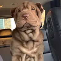 processed/e7463614-59ac-484f-804f-a3ea196990cd/facility/112f5726-f635-4963-87fa-1cde2f9e4360