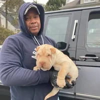 processed/e7463614-59ac-484f-804f-a3ea196990cd/facility/32b5b642-f04a-4ebe-9e65-8e5feff15ac7