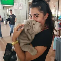 processed/e7463614-59ac-484f-804f-a3ea196990cd/facility/4eb31cca-13fc-4b69-b9d2-c251ac833e80