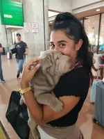 processed/e7463614-59ac-484f-804f-a3ea196990cd/facility/4eb31cca-13fc-4b69-b9d2-c251ac833e80