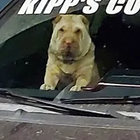 processed/e7463614-59ac-484f-804f-a3ea196990cd/facility/e7c6e644-634e-4f44-9c52-2b32643f1885