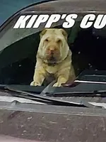 processed/e7463614-59ac-484f-804f-a3ea196990cd/facility/e7c6e644-634e-4f44-9c52-2b32643f1885