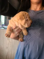 processed/e7463614-59ac-484f-804f-a3ea196990cd/listing/2dfadfd1-4370-47f2-b280-8d6a3089aa06/1aef6990-de4e-42d2-b2a8-3439c6e3bea7