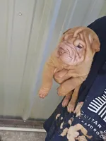 processed/e7463614-59ac-484f-804f-a3ea196990cd/listing/2dfadfd1-4370-47f2-b280-8d6a3089aa06/97be096c-0843-4c7c-a984-ea33e7dad7a9