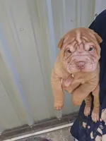 processed/e7463614-59ac-484f-804f-a3ea196990cd/listing/2dfadfd1-4370-47f2-b280-8d6a3089aa06/cb719dc2-b30e-4dda-b4c0-62aa068f472f