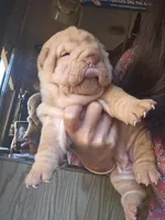 processed/e7463614-59ac-484f-804f-a3ea196990cd/listing/2dfadfd1-4370-47f2-b280-8d6a3089aa06/f2828bb6-1baf-470a-af59-4cf1e77a38f6